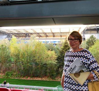 Klagenfurt – Wie ein Wald ins Stadion kommt