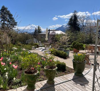 Garten 2025