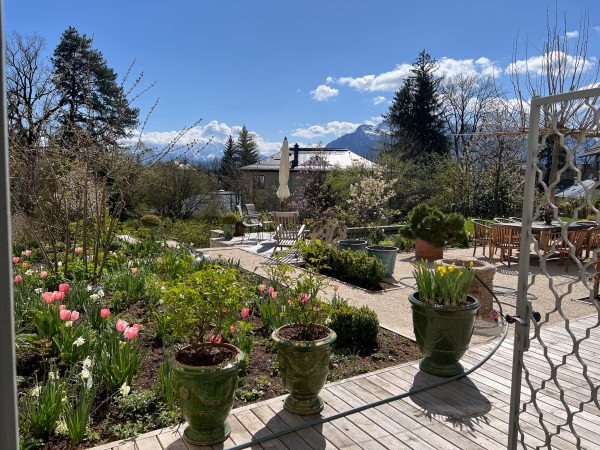 Dieter Mann Garten Brunnhausgasse