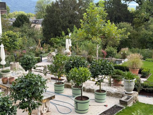 Garten-Brunnhausgasse-Sept11