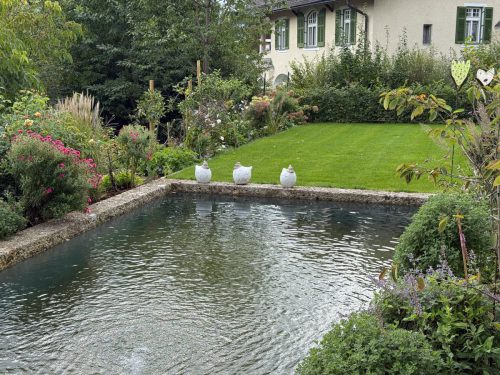 Garten-Brunnhausgasse-Sept12