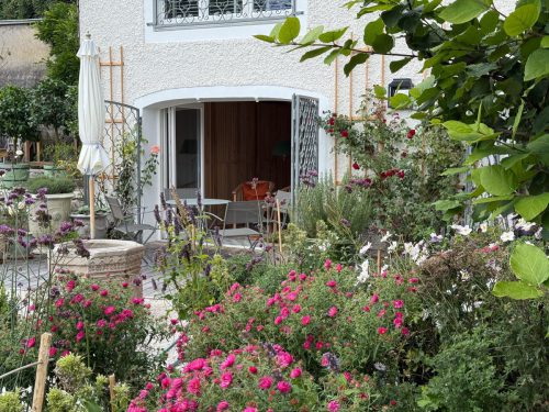 Garten-Brunnhausgasse-Sept13