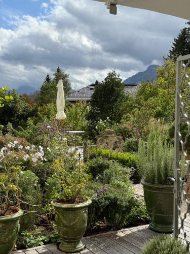 Garten-Brunnhausgasse-Sept15