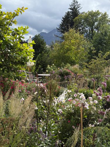 Garten-Brunnhausgasse-Sept16