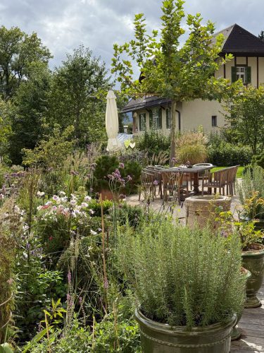 Garten-Brunnhausgasse-Sept17