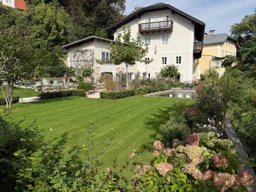 Garten-Brunnhausgasse-Sept2