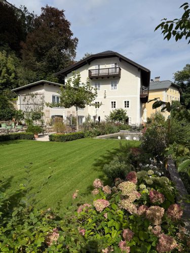 Garten-Brunnhausgasse-Sept6