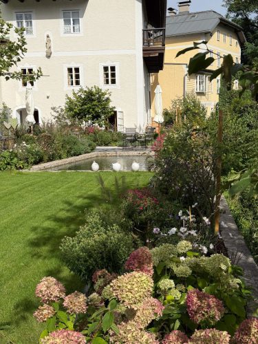 Garten-Brunnhausgasse-Sept7