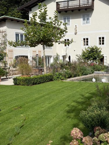 Garten-Brunnhausgasse-Sept8