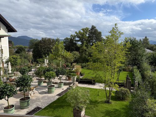 Garten-Brunnhausgasse-Sept9