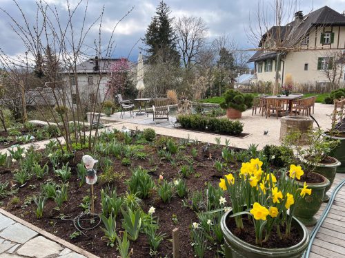 Garten-Brunnhausgasse-Apr1