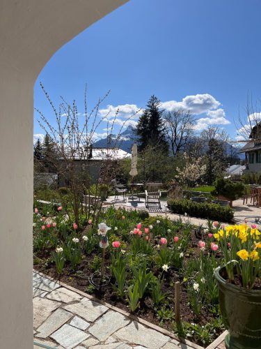 Garten-Brunnhausgasse-Apr14