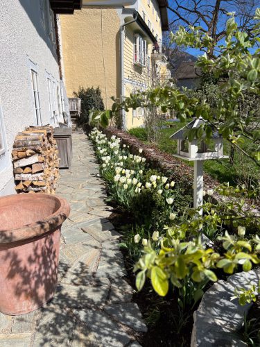 Garten-Brunnhausgasse-Apr15
