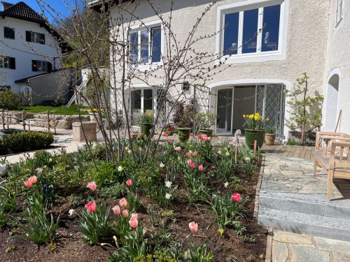 Garten-Brunnhausgasse-Apr16