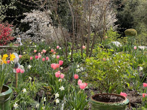 Garten-Brunnhausgasse-Apr18