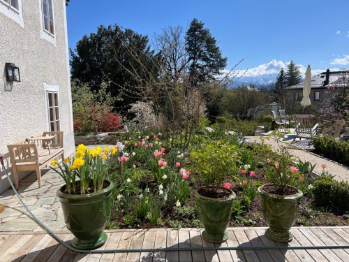 Garten-Brunnhausgasse-Apr2