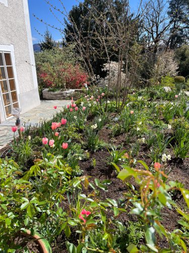 Garten-Brunnhausgasse-Apr4