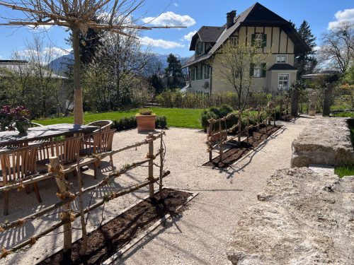 Garten-Brunnhausgasse-Apr5