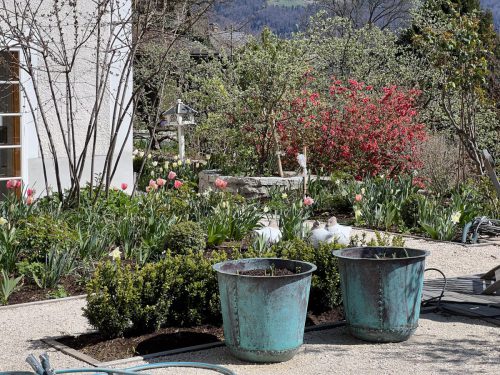 Garten-Brunnhausgasse-Apr6