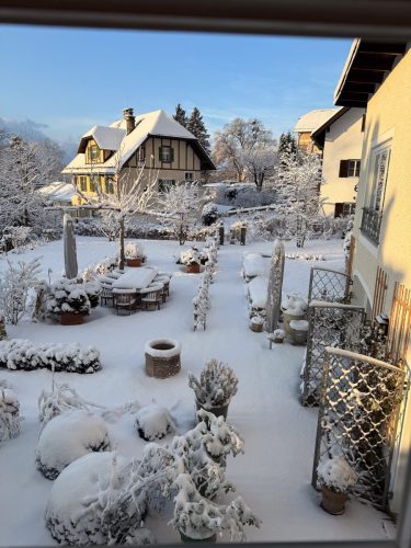 Garten-Brunnhausgasse-Dez12