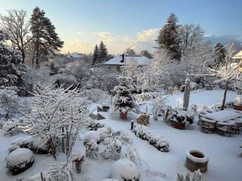 Garten-Brunnhausgasse-Dez13