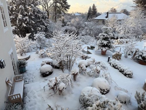 Garten-Brunnhausgasse-Dez14