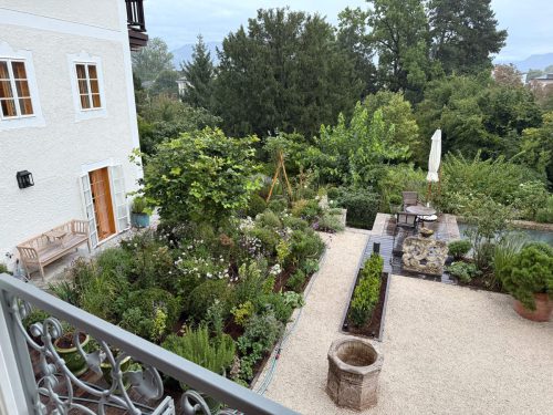 Garten-Brunnhausgasse-Juli10