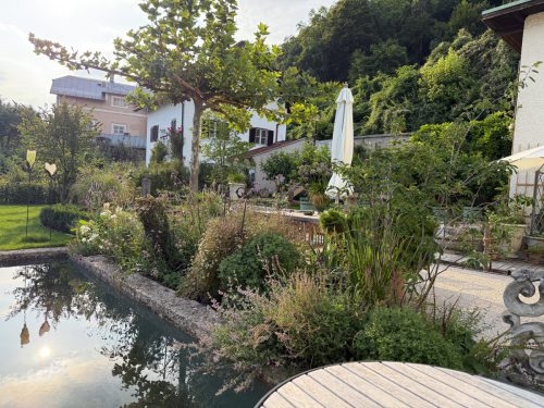 Garten-Brunnhausgasse-Juli2