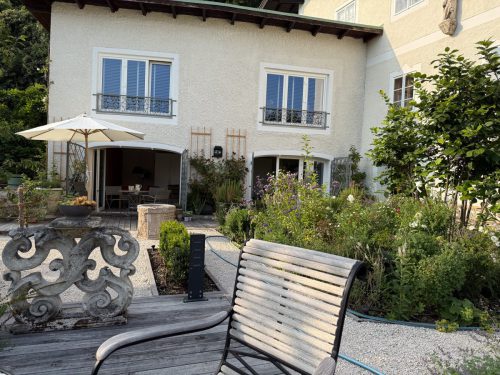 Garten-Brunnhausgasse-Juli4