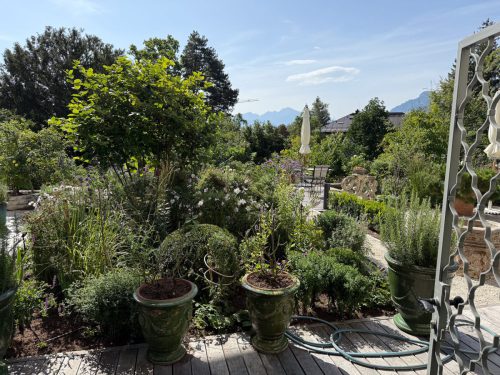 Garten-Brunnhausgasse-Juli8