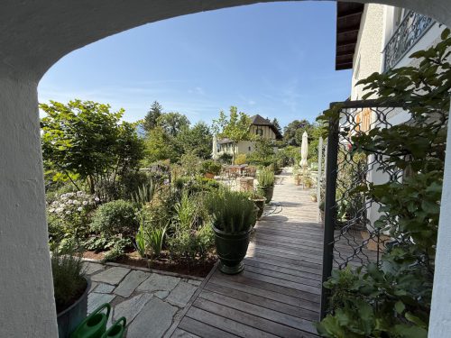 Garten-Brunnhausgasse-Juli9