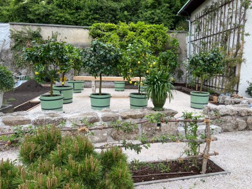 Garten-Brunnhausgasse-Mai12