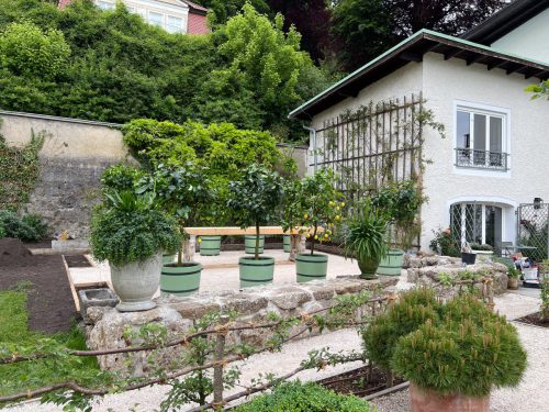 Garten-Brunnhausgasse-Mai13