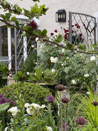 Garten-Brunnhausgasse-Mai16