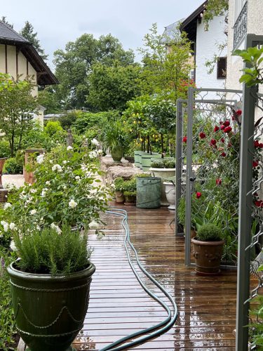 Garten-Brunnhausgasse-Mai9