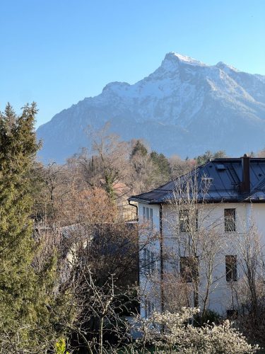 Garten-Brunnhausgasse-Mar-10