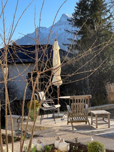 Garten-Brunnhausgasse-Mar-12