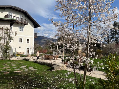 Garten-Brunnhausgasse-Mar-16