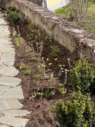 Garten-Brunnhausgasse-Mar-2