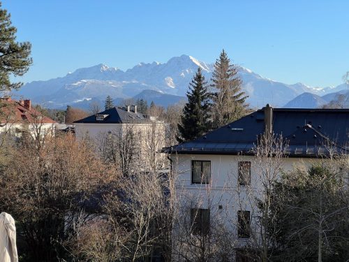 Garten-Brunnhausgasse-Mar-8