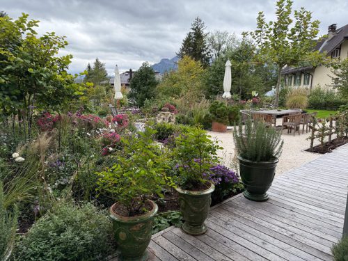 Garten-Brunnhausgasse-Okt1