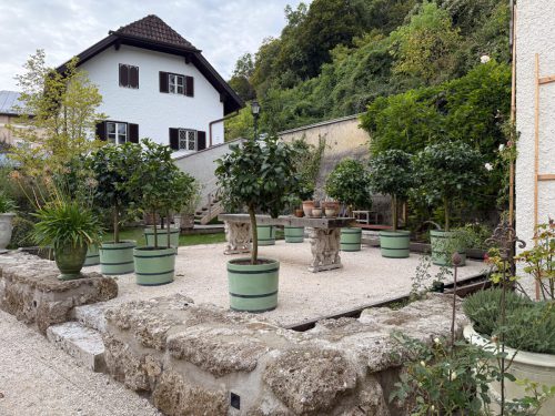 Garten-Brunnhausgasse-Okt13