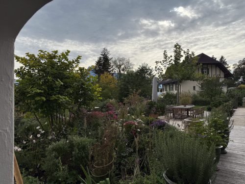 Garten-Brunnhausgasse-Okt14