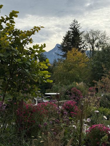 Garten-Brunnhausgasse-Okt15
