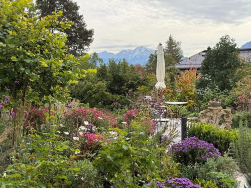Garten-Brunnhausgasse-Okt16