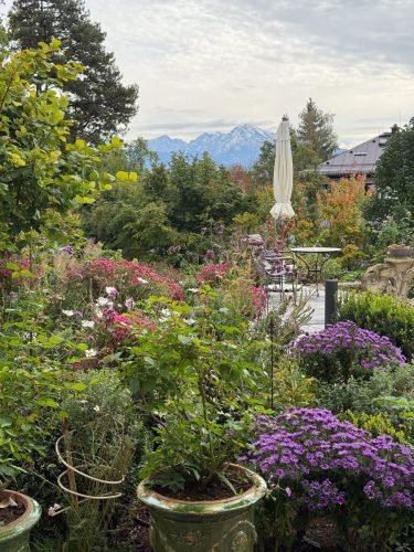 Garten-Brunnhausgasse-Okt17