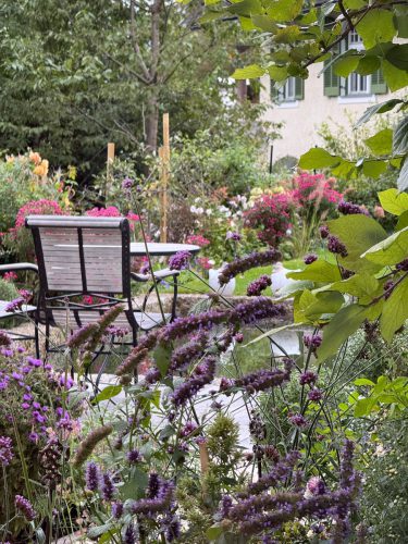 Garten-Brunnhausgasse-Okt4