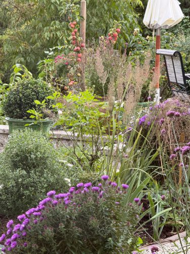 Garten-Brunnhausgasse-Okt5