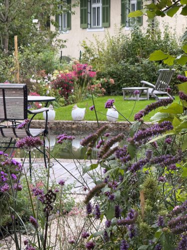 Garten-Brunnhausgasse-Okt6