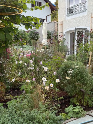 Garten-Brunnhausgasse-Okt7